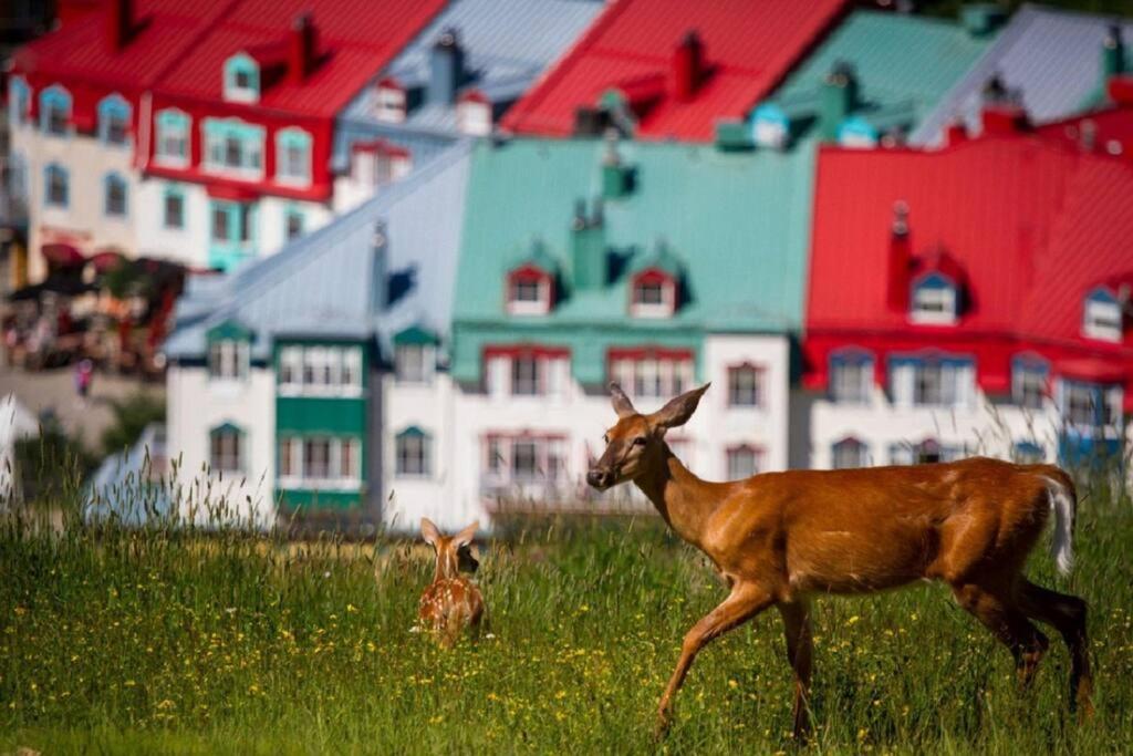 Deluxe Suite-Sur-Lac Superieur - Tremblant Versant Nord Kültér fotó